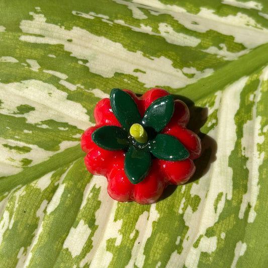 Tomato Magnet