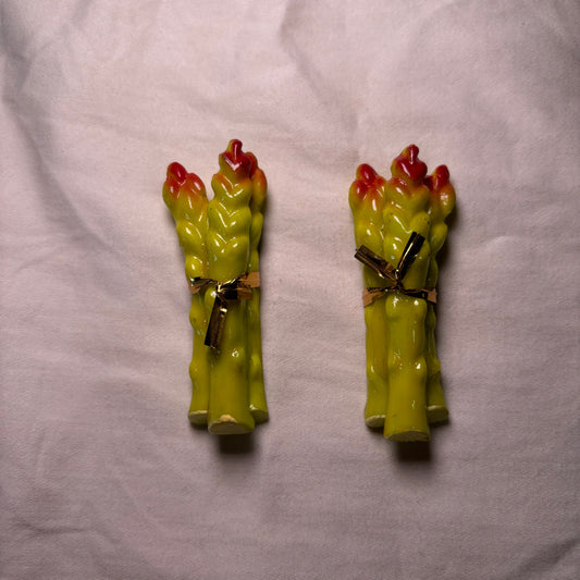 Asparagus Magnet
