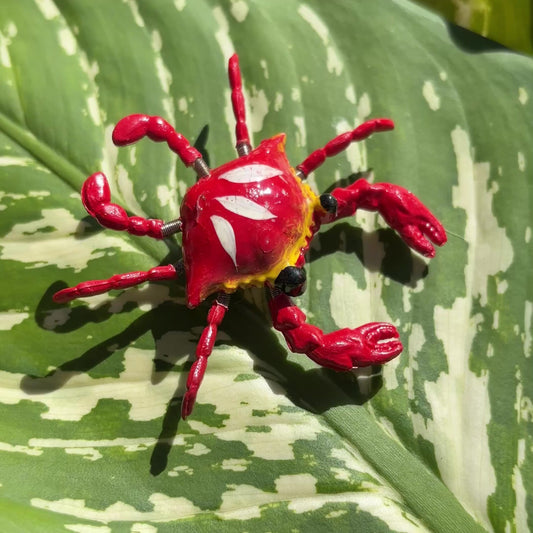 Moving Crab Magnet